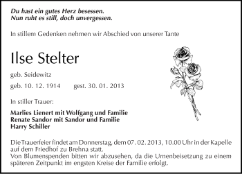 Traueranzeige von Ilse Stelter von Mitteldeutsche Zeitung Bitterfeld