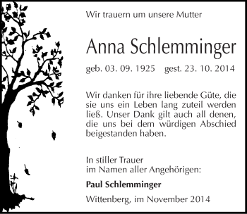 Traueranzeige von Anna Schlemminger von Mitteldeutsche Zeitung