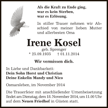 Traueranzeige von Irene Kosel von Super Sonntag Bernburg