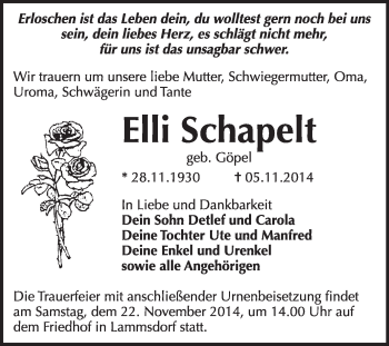 Traueranzeige von Elli Schapelt von WVG - Wochenspiegel Wittenberg