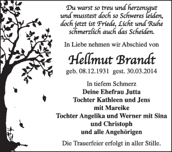 Traueranzeige von Hellmut Brandt von Super Sonntag Dessau / Köthen