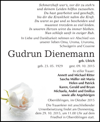 Traueranzeige von Gudrun Dienemann von Super Sonntag SGH Mansf. Land