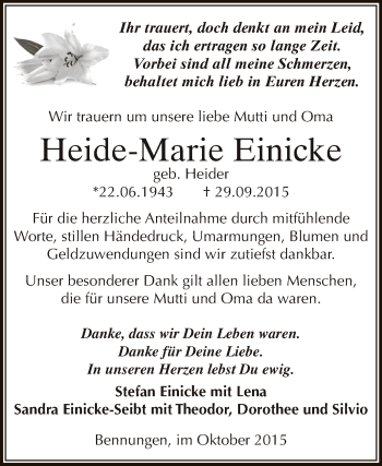 Traueranzeige von Heide-Marie Einicke von Super Sonntag SGH Mansf. Land