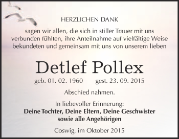 Traueranzeige von Detlef Pollex von Super Sonntag Wittenberg