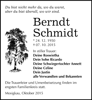 Traueranzeige von Berndt Schmidt von Mitteldeutsche Zeitung Dessau-Roßlau