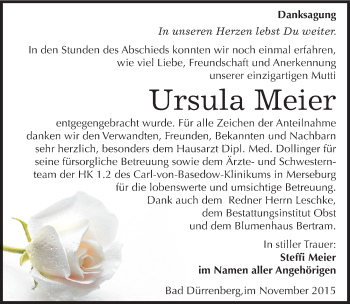 Traueranzeige von Ursula Meier von Mitteldeutsche Zeitung Merseburg/Querfurt