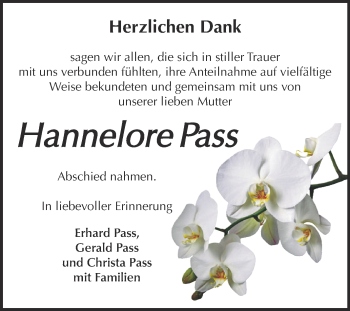 Traueranzeige von Hannelore Pass von Super Sonntag Bernburg