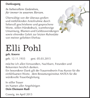 Traueranzeige von Elli Pohl von Mitteldeutsche Zeitung Wittenberg