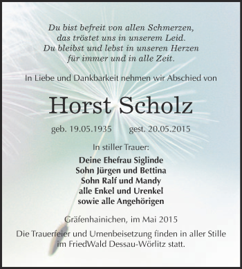 Traueranzeige von Horst Scholz von WVG - Wochenspiegel Wittenberg