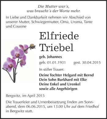 Traueranzeige von Elfriede Triebel von WVG - Wochenspiegel Wittenberg