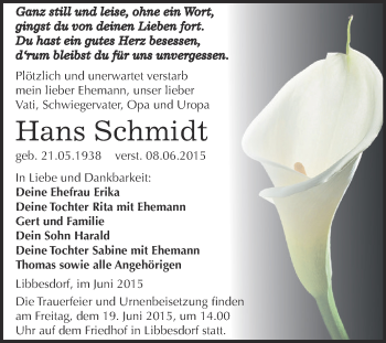 Traueranzeige von Hans Schmidt von WVG - Wochenspiegel Dessau / Köthen