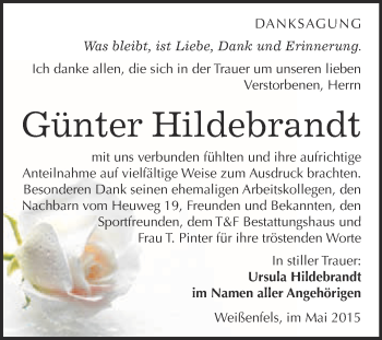 Traueranzeige von Günter Hildebrandt von WVG - Wochenspiegel NMB / WSF / ZTZ