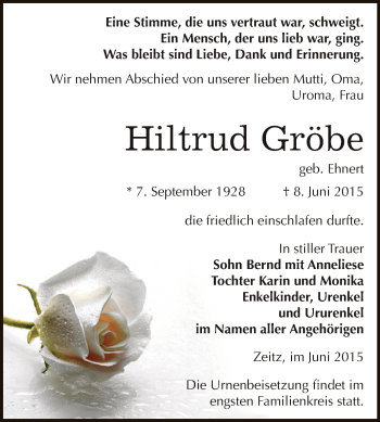 Traueranzeige von Hiltrud Gröbe von Super Sonntag Zeitz