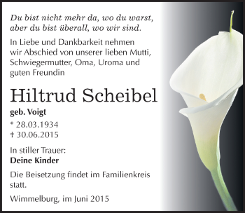 Traueranzeige von Hiltrud Scheibel von Mitteldeutsche Zeitung Mansfelder Land