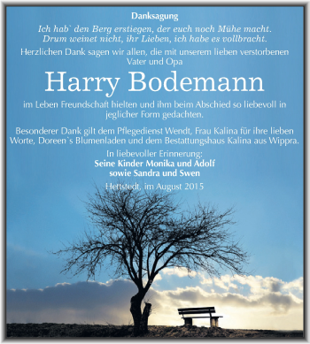 Traueranzeige von Harry Bodemann von Super Sonntag SGH Mansf. Land