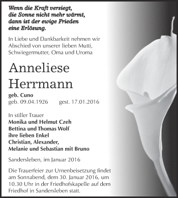 Traueranzeige von Anneliese Herrmann von Super Sonntag SGH Mansf. Land