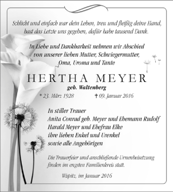 Traueranzeige von Inge Matz von Mitteldeutsche Zeitung Merseburg/Querfurt