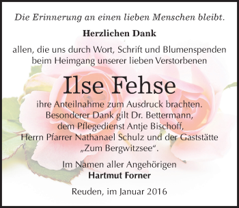 Traueranzeige von Ilse Fehse von Mitteldeutsche Zeitung Wittenberg