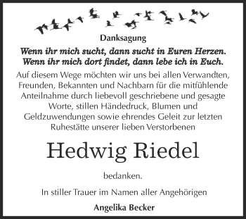 Traueranzeige von Hedwig Riedel von WVG - Wochenspiegel Dessau / Köthen