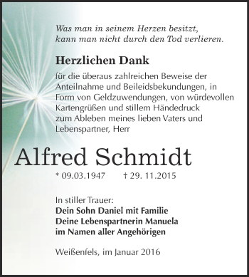 Traueranzeige von Alfred Schmidt von WVG - Wochenspiegel NMB / WSF / ZTZ