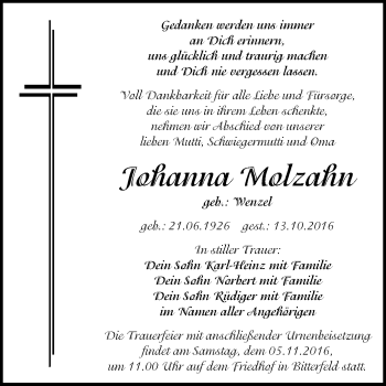 Traueranzeige von Johanna Molzahn von WVG - Wochenspiegel Bitterfeld