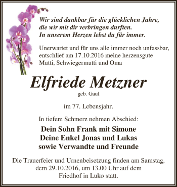 Traueranzeige von Elfriede Metzner von WVG - Wochenspiegel Dessau / Köthen