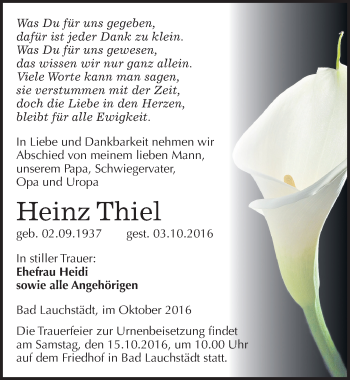 Traueranzeige von Heinz Thiel von Mitteldeutsche Zeitung Merseburg/Querfurt