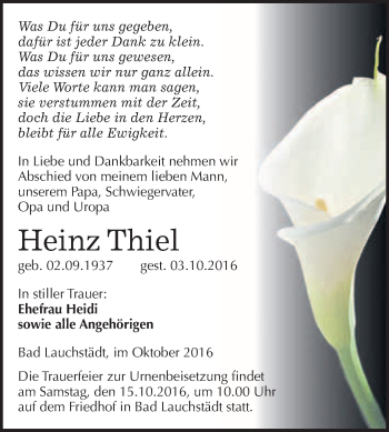 Traueranzeige von Heinz Thiel von WVG - Wochenspiegel Merseburg
