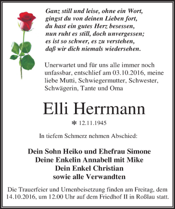 Traueranzeige von Elli Herrmann von Mitteldeutsche Zeitung Dessau-Roßlau