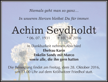 Traueranzeige von Achim Seydholdt von Mitteldeutsche Zeitung Halle/Saalkreis