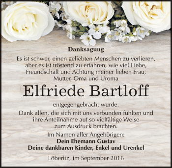 Traueranzeige von Elfriede Bartloff von Mitteldeutsche Zeitung Bitterfeld