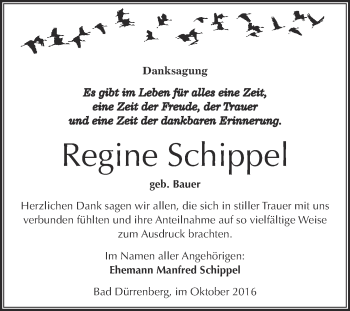 Traueranzeige von Regine Schippel von Super Sonntag Merseburg
