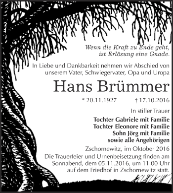 Traueranzeige von Hans Brümmer von WVG - Wochenspiegel Wittenberg