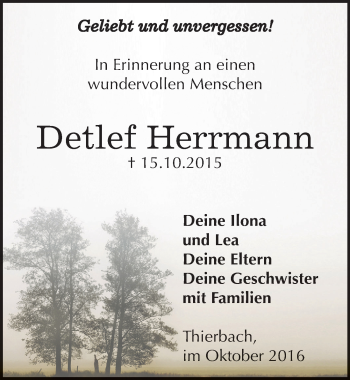 Traueranzeige von Detlef Herrmann von Mitteldeutsche Zeitung Zeitz