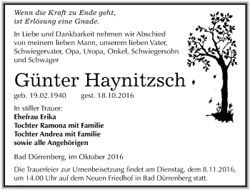 Traueranzeige von Günter Haynitzsch von Mitteldeutsche Zeitung Merseburg/Querfurt