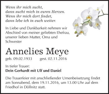 Traueranzeige von Annelies Meye von Mitteldeutsche Zeitung Halle/Saalkreis