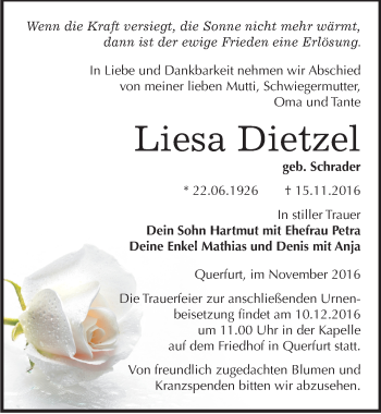 Traueranzeige von Liesa Dietzel von Mitteldeutsche Zeitung Merseburg/Querfurt