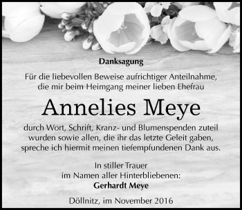 Traueranzeige von Annelies Meye von Mitteldeutsche Zeitung Halle/Saalkreis