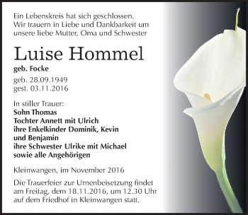 Traueranzeige von Luise Hommel von Mitteldeutsche Zeitung Naumburg/Nebra