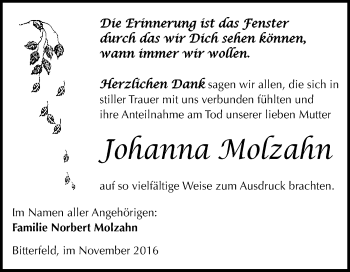 Traueranzeige von Johanna Molzahn von WVG - Wochenspiegel Bitterfeld
