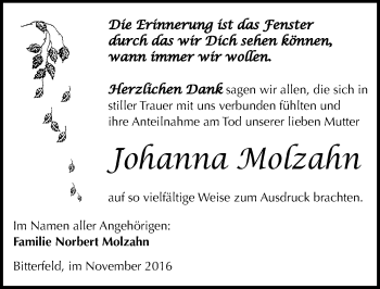 Traueranzeige von Johanna Molzahn von Mitteldeutsche Zeitung Bitterfeld