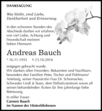 Traueranzeige von Andreas Bauch von Mitteldeutsche Zeitung Dessau-Roßlau