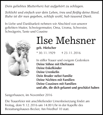 Traueranzeige von Ilse Mehsner von Super Sonntag SGH Mansf. Land