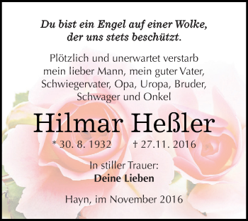 Traueranzeige von Hilmar Heßler von Super Sonntag SGH Mansf. Land