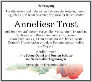 Traueranzeige von Anneliese Trost von Super Sonntag SGH Mansf. Land