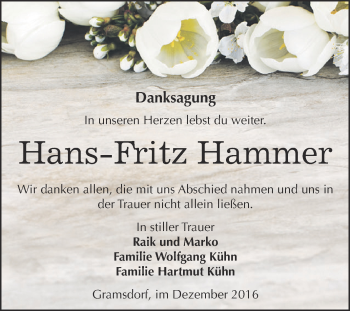 Traueranzeige von Hans-Fritz Hammer von Super Sonntag Bernburg