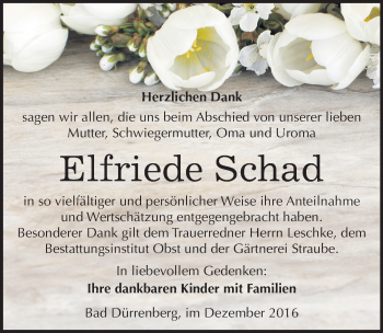 Traueranzeige von Elfriede Schad von Mitteldeutsche Zeitung Merseburg/Querfurt