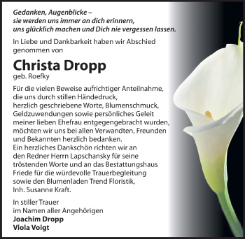 Traueranzeige von Christa Dropp von Mitteldeutsche Zeitung Dessau-Roßlau