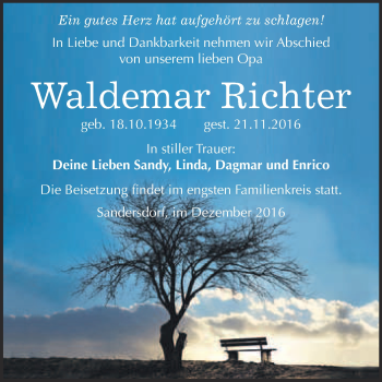 Traueranzeige von Ruth Bachmann von Mitteldeutsche Zeitung Halle/Saalkreis