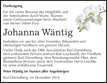 Traueranzeige von Johanna  Wäntig von Super Sonntag Merseburg